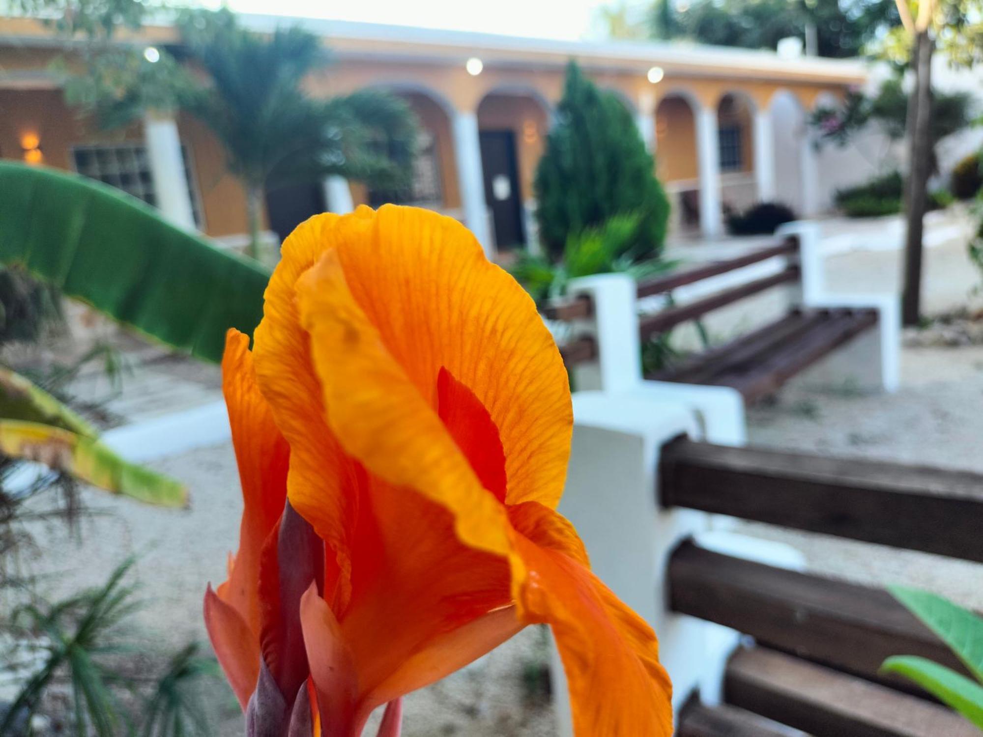 Villa Gabriela Celestun -Hotel & Restaurant מראה חיצוני תמונה