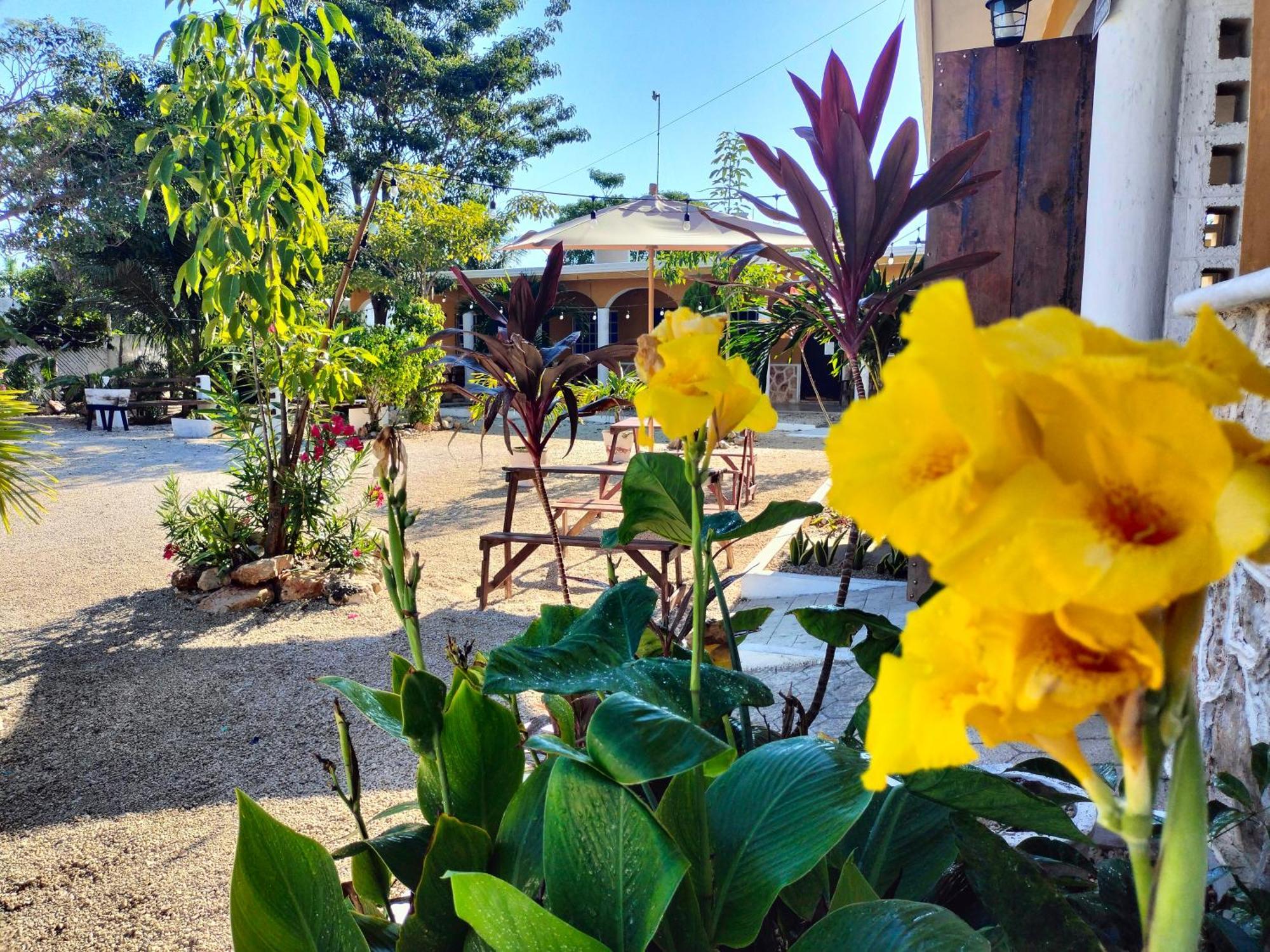 Villa Gabriela Celestun -Hotel & Restaurant מראה חיצוני תמונה
